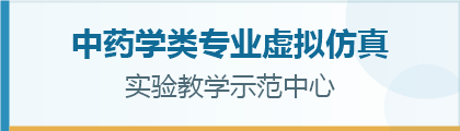 中医临床技能实训中心